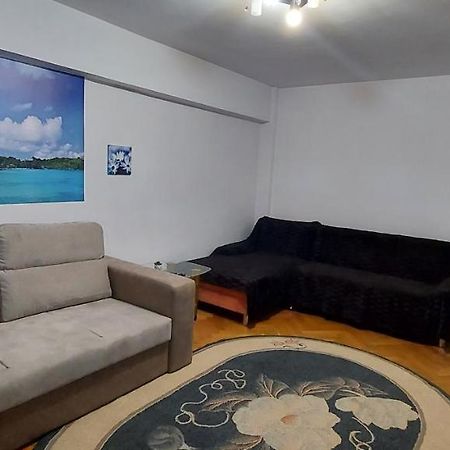 Bucovina Confort Apartament Apartment Suceava Ngoại thất bức ảnh