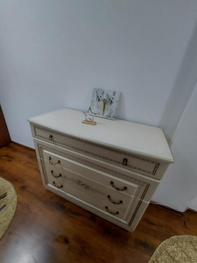 Bucovina Confort Apartament Apartment Suceava Ngoại thất bức ảnh