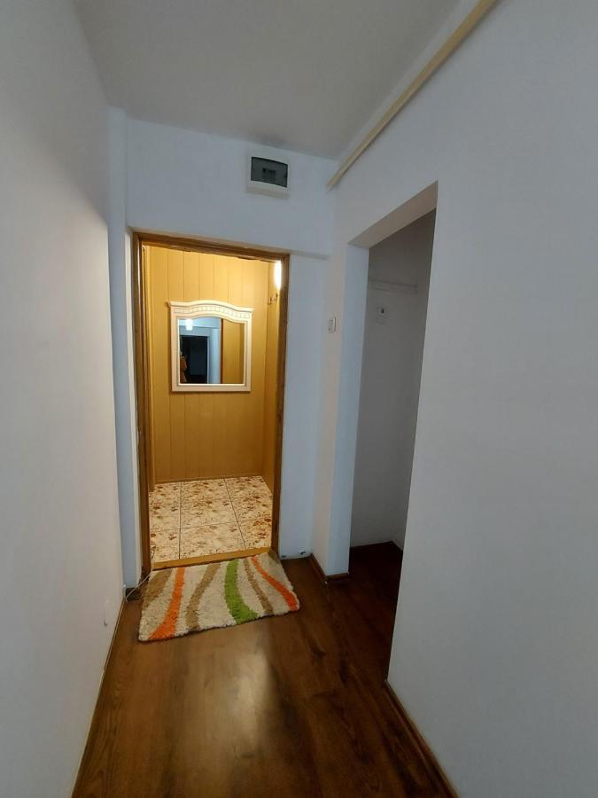 Bucovina Confort Apartament Apartment Suceava Ngoại thất bức ảnh
