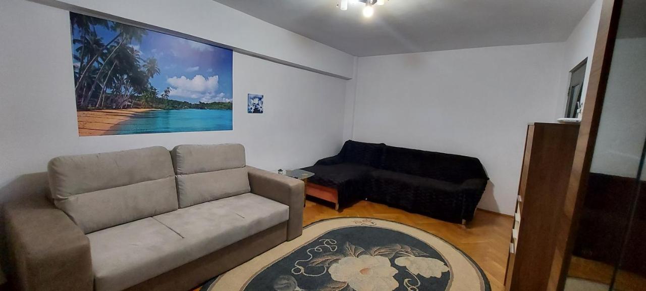 Bucovina Confort Apartament Apartment Suceava Ngoại thất bức ảnh