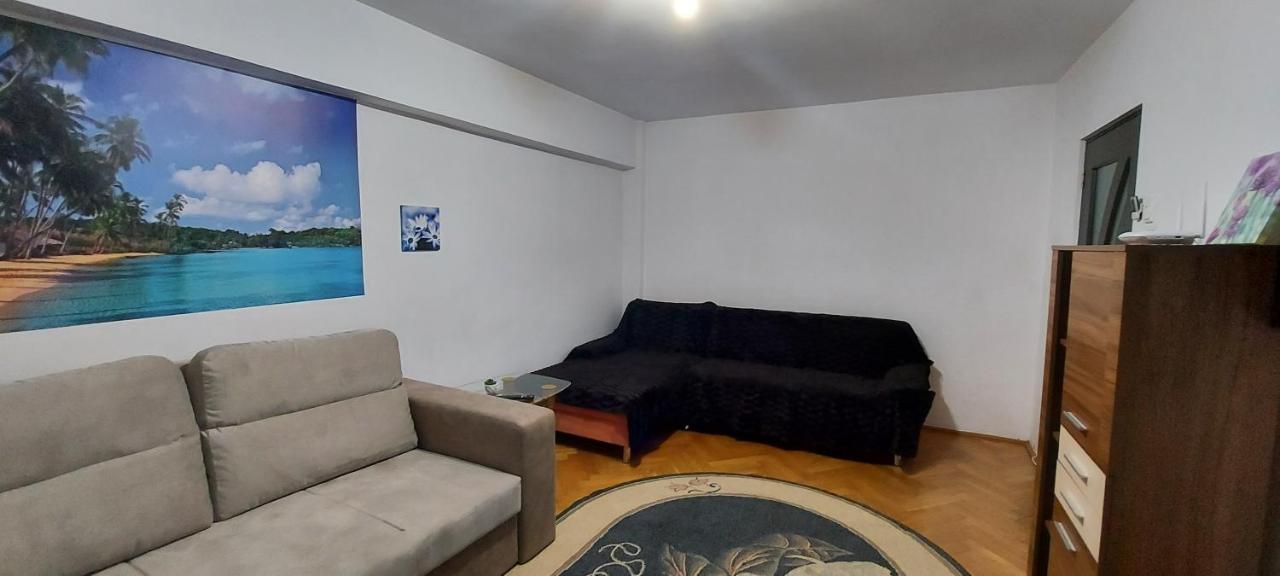 Bucovina Confort Apartament Apartment Suceava Ngoại thất bức ảnh