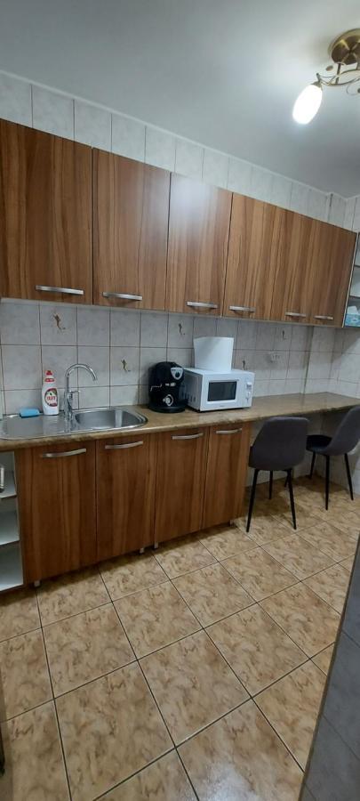 Bucovina Confort Apartament Apartment Suceava Ngoại thất bức ảnh